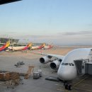 541 | 아시아나 OZ541 인천–프랑크푸르트 14시간 탑승후기