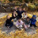 연세어린이집 이미지