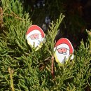 제이에이치컴퍼니 이미지