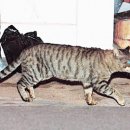 쓰리웨이1 이미지