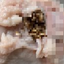 하림생닭 이미지