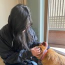 영랑사