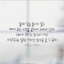 당당하개 이미지