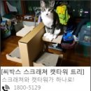 씨박스(C’Box) 이미지