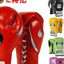 이지복싱 이미지