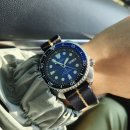 터틀투맨 이미지