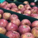 양구농장 이미지