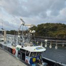 대어 | 제주도 낚시체험 광명호 후기 | 초보도 대어 가능! 다금바리까지 등장!