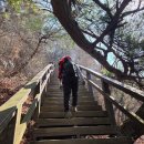 도계체육공원 | 창원 정병산 비음산, 숲나들이길로 하산 - 300대 명산(337)