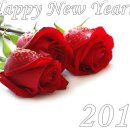 아라리호프 이미지