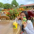 채니농장 이미지