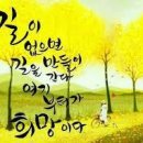 사노라면 이미지