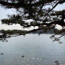 두꺼비 분식 이미지