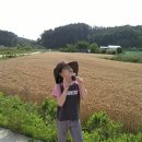 솔향기 힐링 하우스 이미지