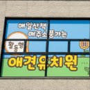 포근멍 애견 유치원 네이버블로그