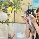 (주)라미미 이미지