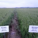 담수농장 이미지