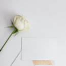 스몰디자인 이미지