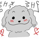 유명산벨리 이미지