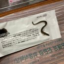 동해생아구나라 | 동해 천곡동 맛집 항골민물장어가든 ｜ 민물생장어, 소면 내돈내산 후기