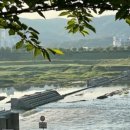 대륭테크노타운15차입주사대표위원회 | 2024년 6월5일 세종시뉴스 및 부동산주요뉴스