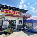 전주 성덕동 중국집, 낙지 짬뽕 맛집 성덕반점 후기