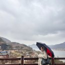 양산 원동매화 실시간 25년 3월16일에 다녀옴 다음주에 오면 딱일 듯
