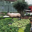 바이더스쿨 이미지