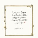 팔로주 이미지