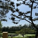 솔리,자운 이미지