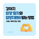 개 입양 절차, 개 입양 후, 입양 지원비 받는 방법