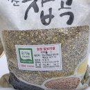 검장찰보리쌀 이미지
