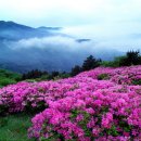 천상의 보금자리 이미지