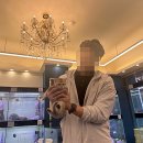 펫캐슬강아지고양이애견샵