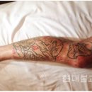 제이슨관광 이미지