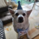 3월 일상 blog. 개학, 하트페어링, 지드래곤, 지브리, 탄핵, 보드게임