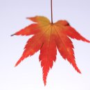 금호 조각공원 이미지