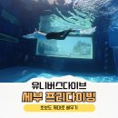 더제이다이브센터