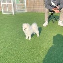 잘놀개잘살개 이미지