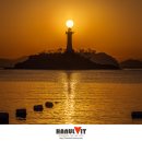 사궁두미 이미지