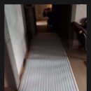 신내새한 이미지