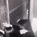 강시 이미지