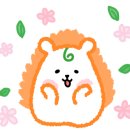 코리원