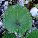 삼송역 3번출구 약국 이미지
