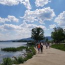 두물머리 이미지