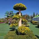 어양동-10 이미지