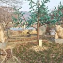 대황강 자연휴식공원 이미지