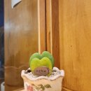 멘모찌구영리점