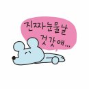 [후기] 2025 어썸스테이지 [Xdinary Heroes x YdBB]- 부산
