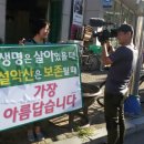 양양군청 이미지